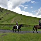 Ausritt zum Skógafoss - Island #3023