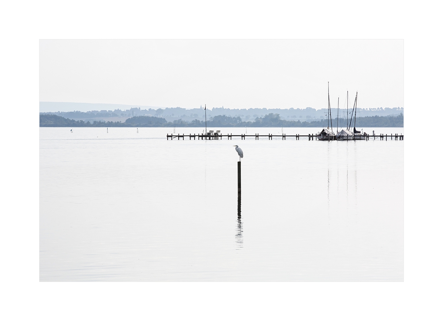 Ausruhen am Steinhuder Meer 