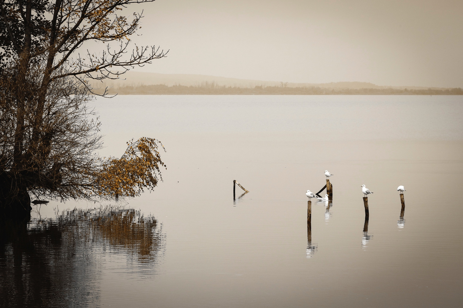 Ausruhen am Steinhuder Meer