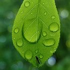 Ausruhen auf eigene Gefahr