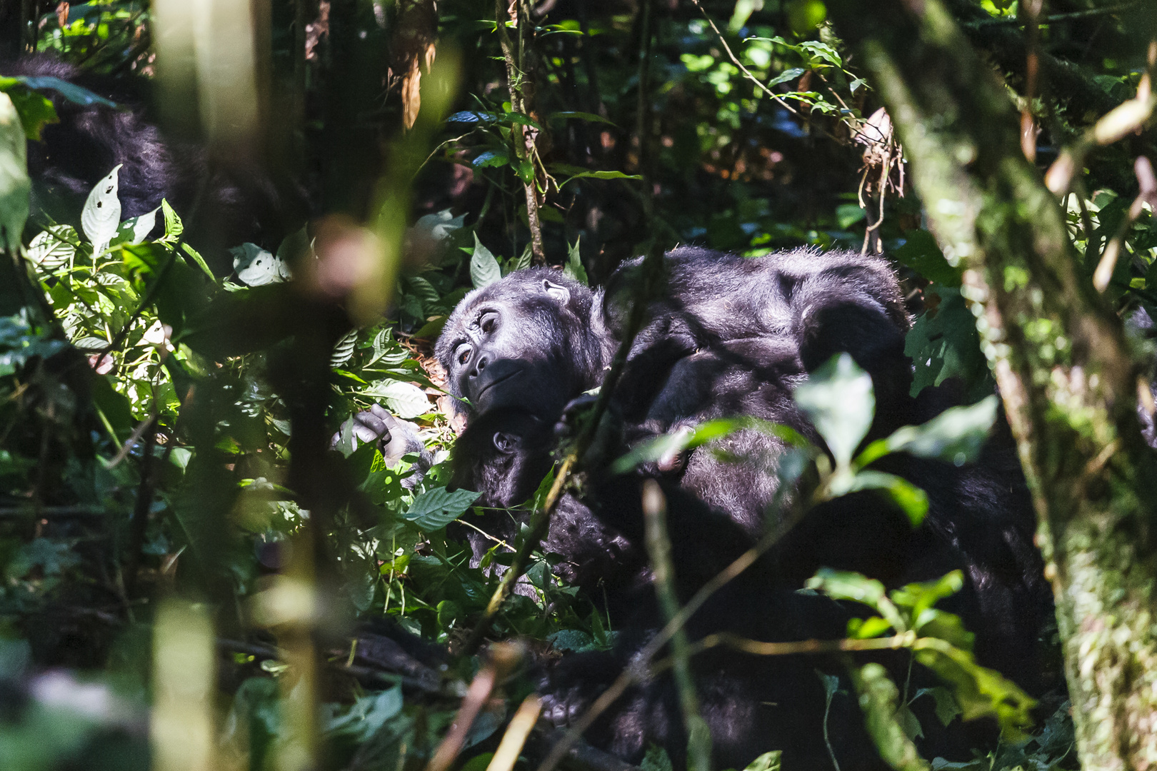 Ausruhen, Uganda