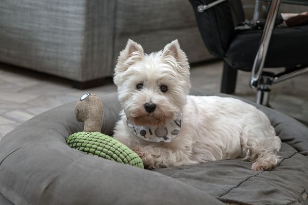 Ausruhen und Genießen