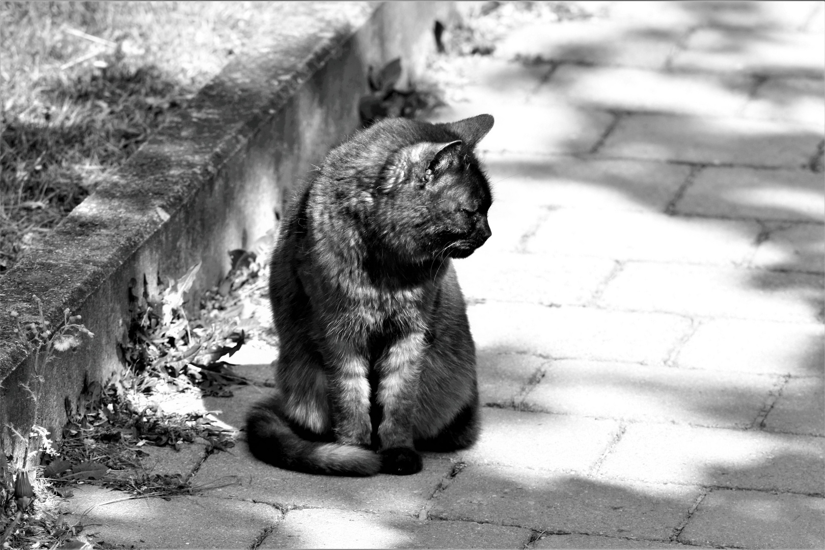 ausruhen und schauen wie das Licht und der Schatten sich bewegen