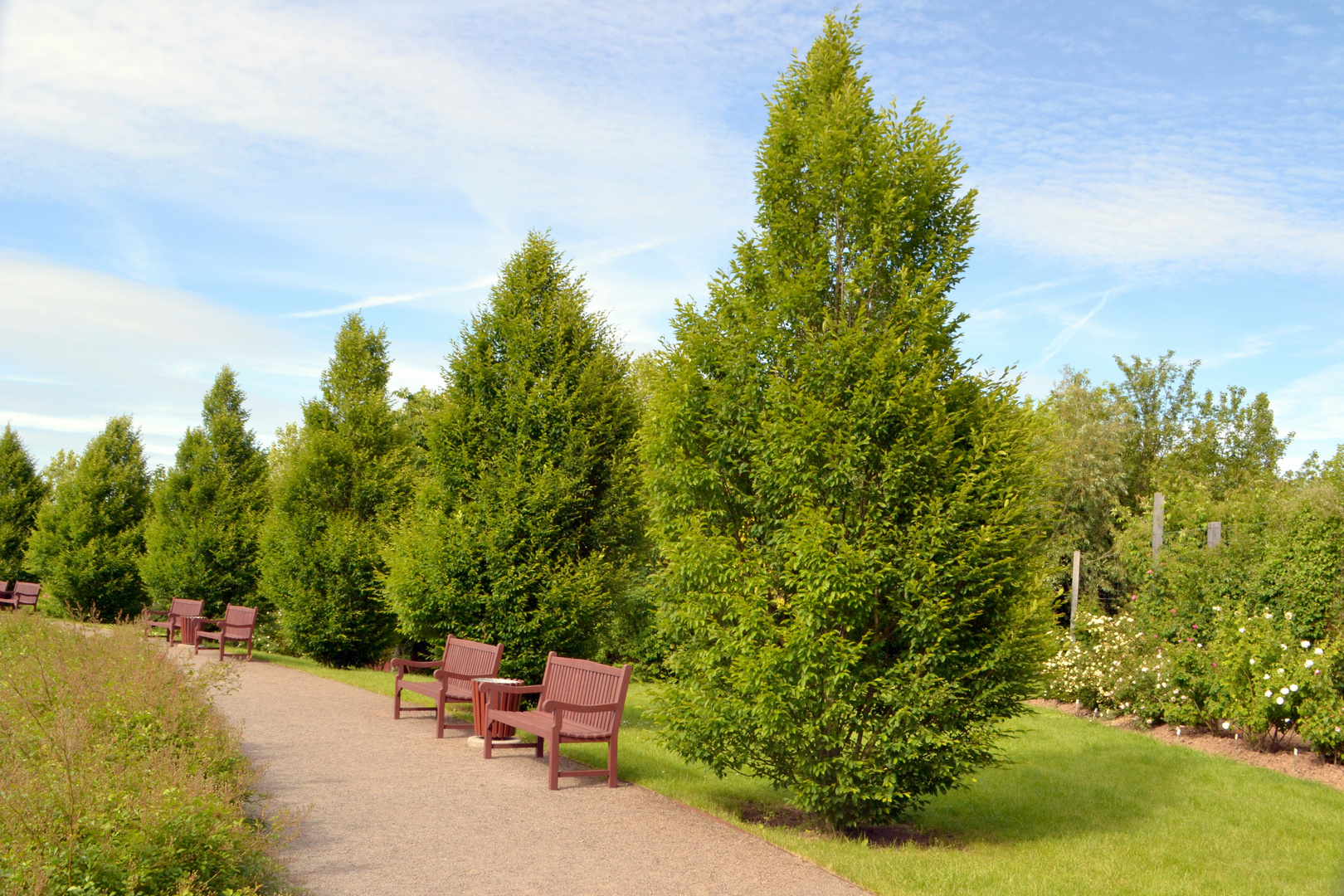 Ausruhmöglichkeit im Park