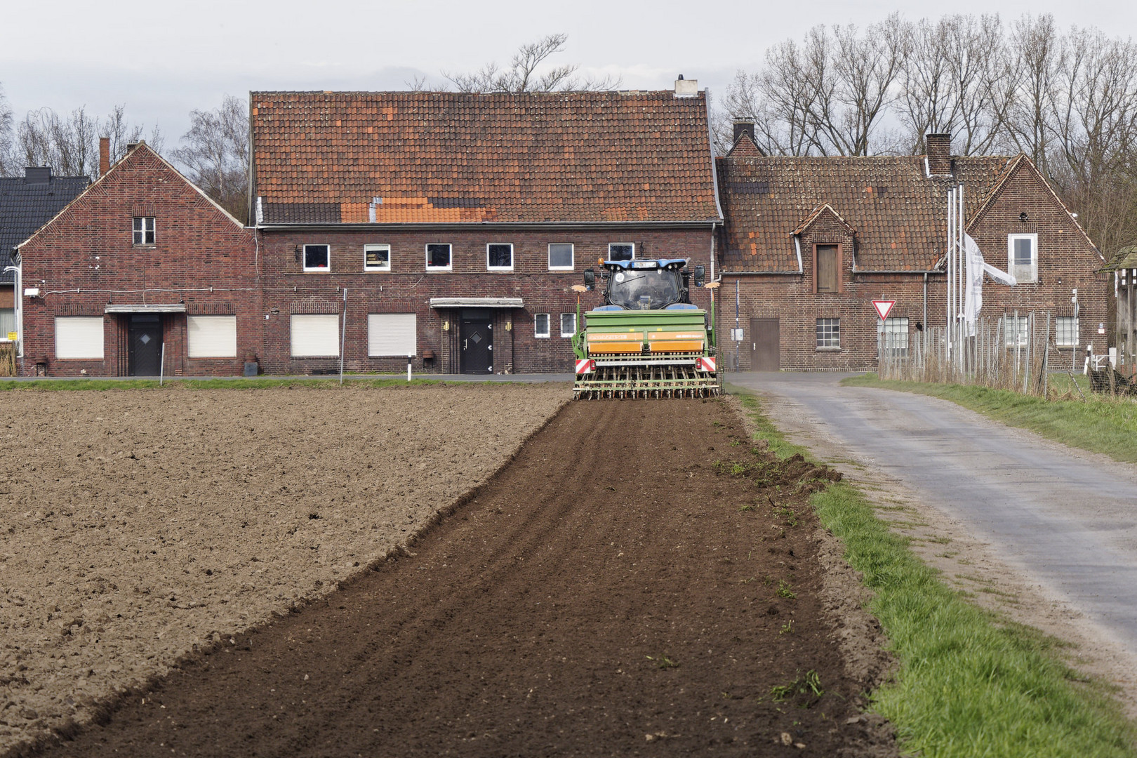 Aussaat Ende Februar 2024, noch im Winter (kalendarisch). 