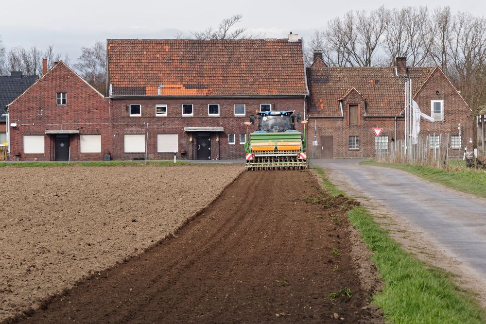 Aussaat Ende Februar 2024, noch im Winter (kalendarisch). 