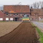 Aussaat Ende Februar 2024, noch im Winter (kalendarisch). 