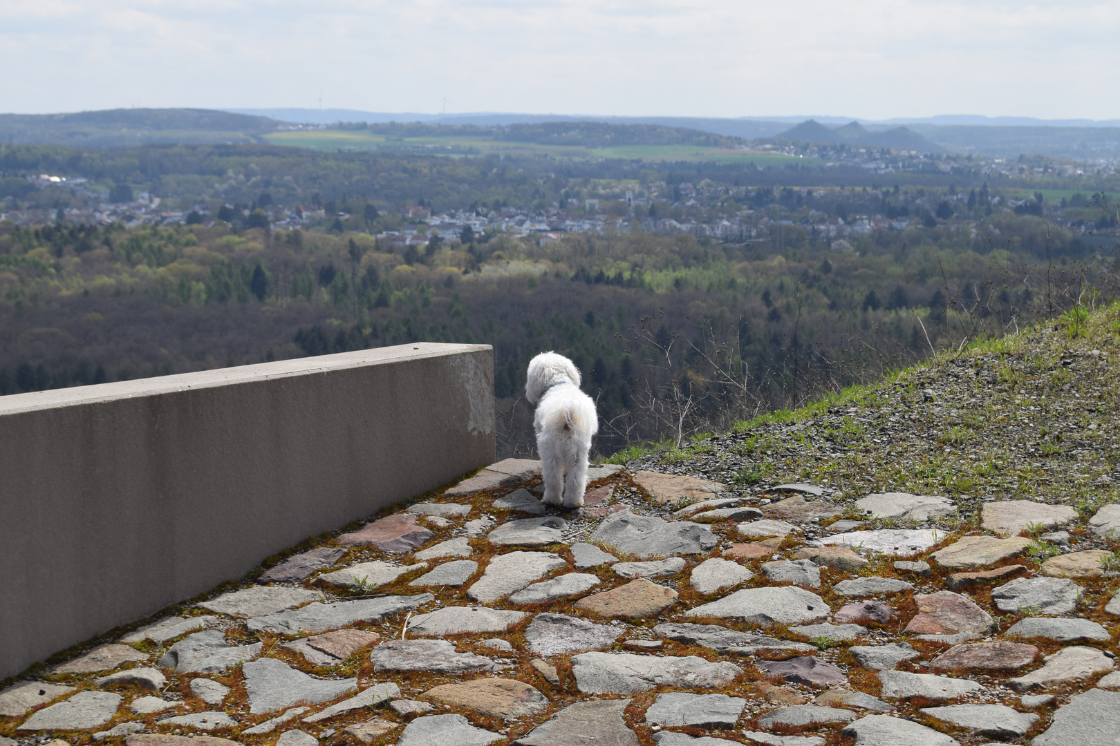 Ausschau halten