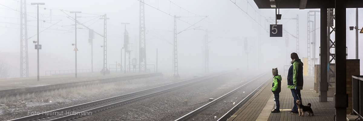 AUSSCHAU IM NEBEL