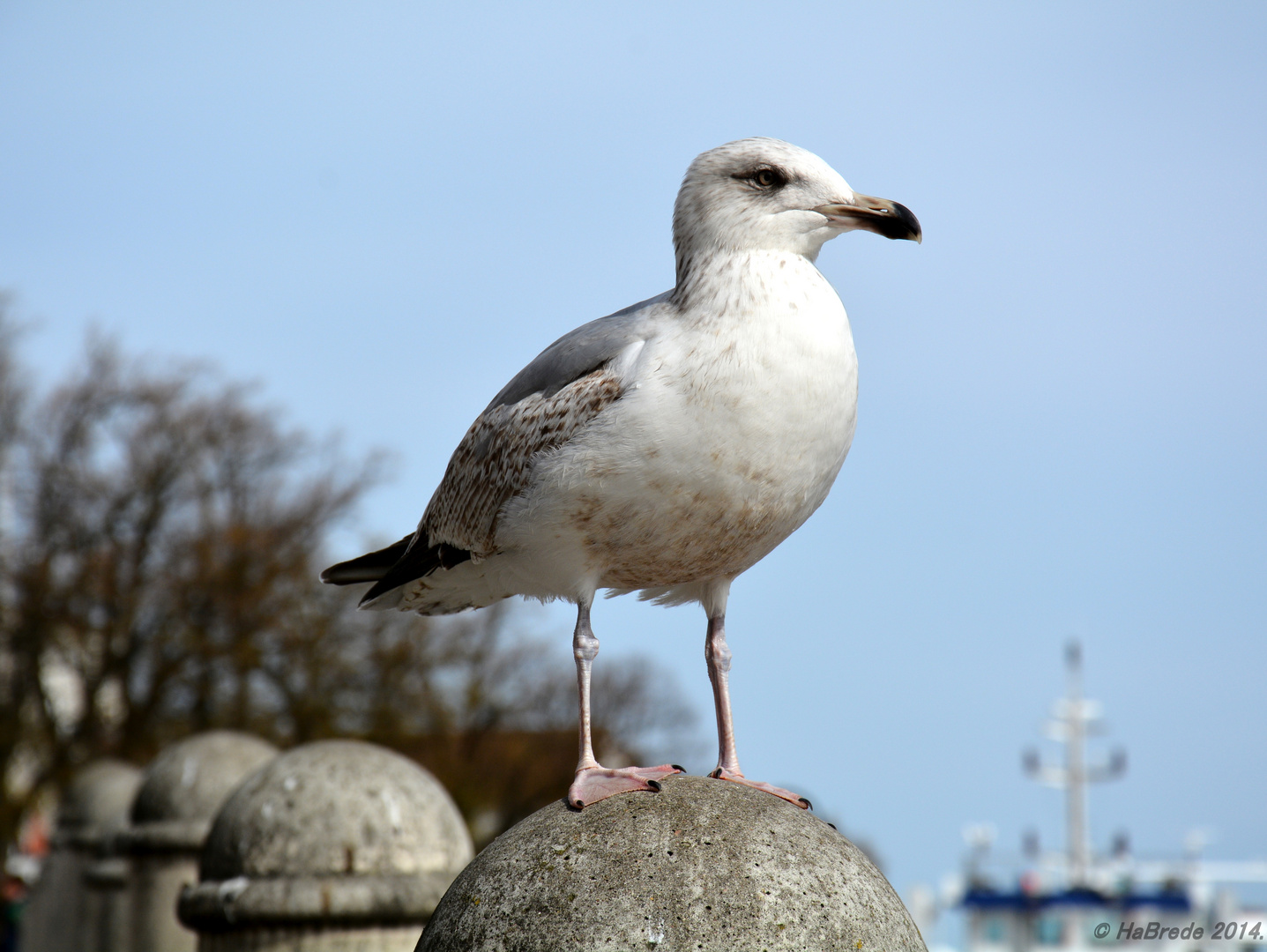 Ausschau in Warnemünde