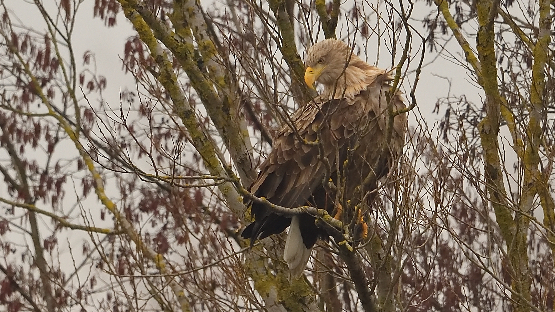 Ausschau nach einem neuen Ziel!