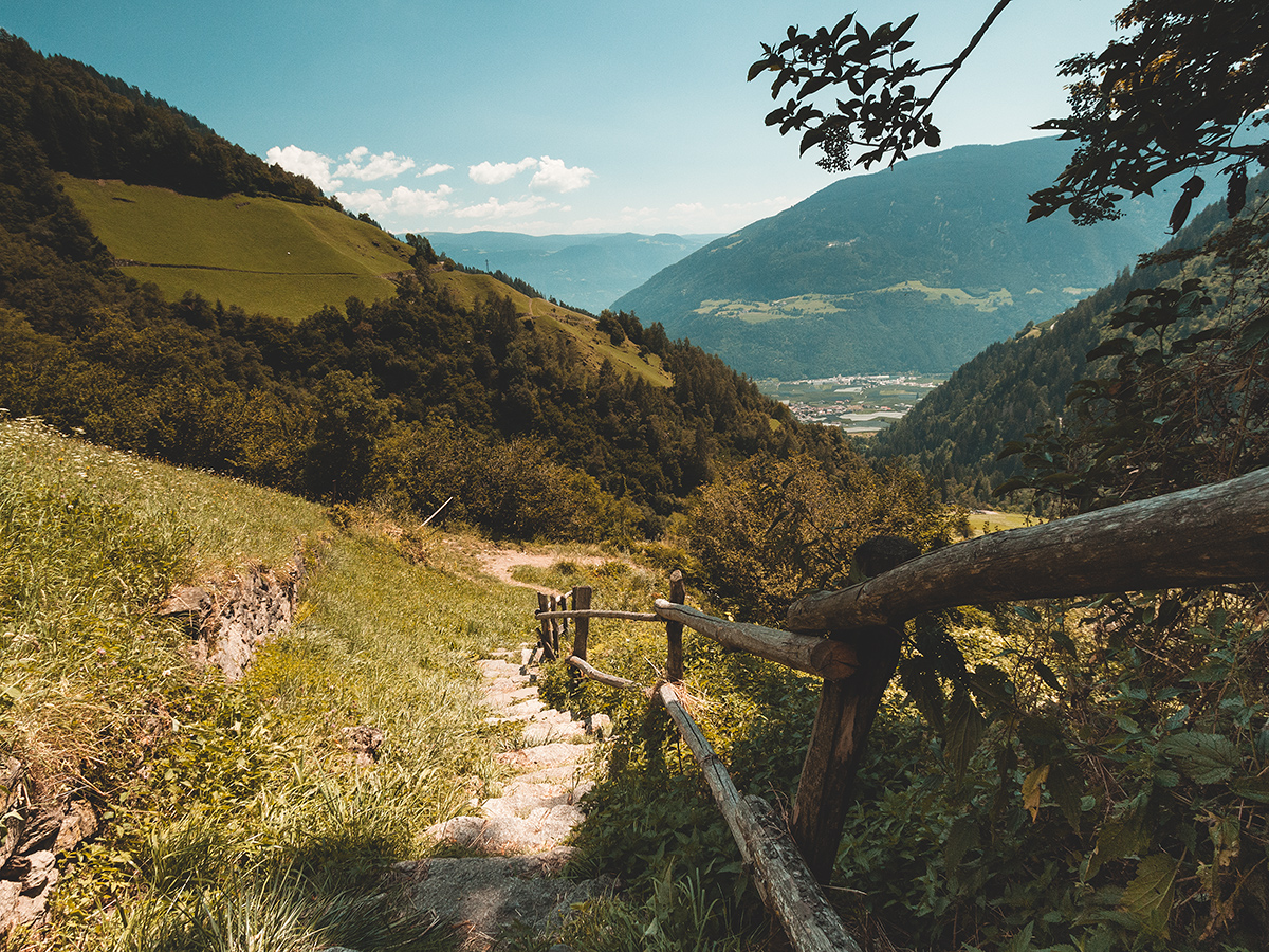 Ausschau nach Freiheit