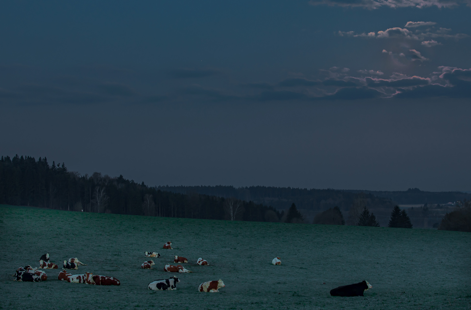 Ausschlafen bei Vollmond