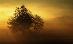 Ausschnitt aus Goldener Herbst 2005