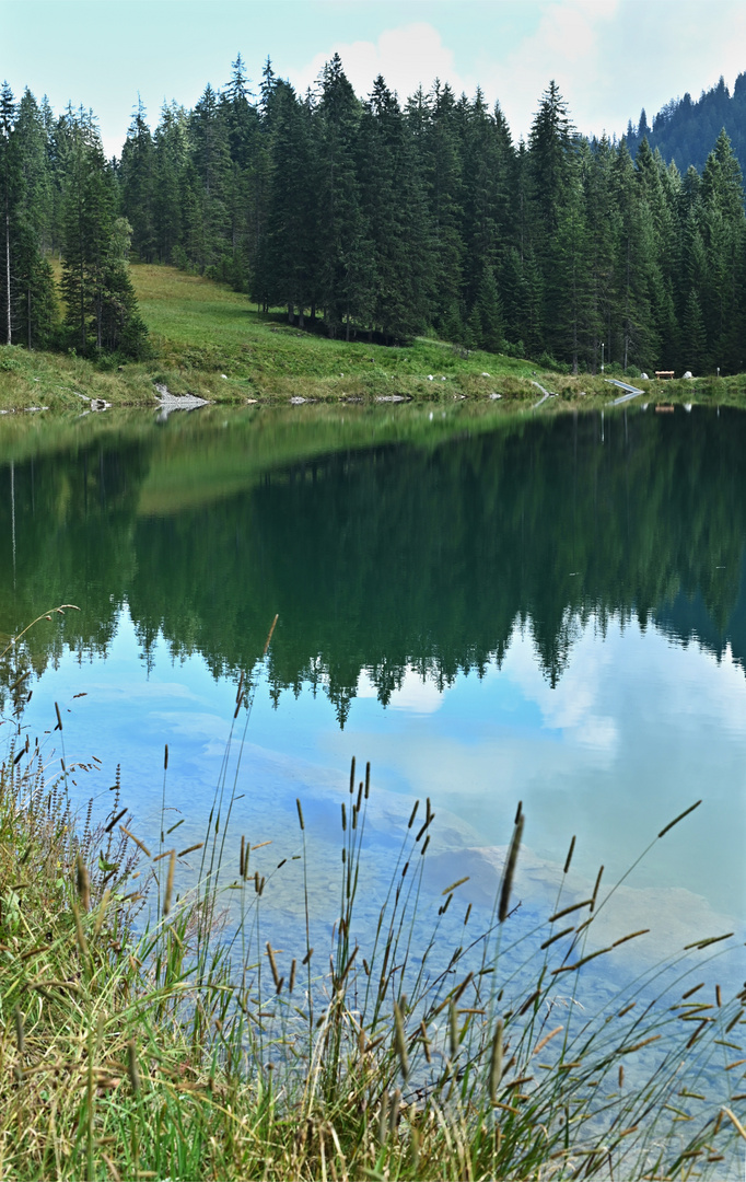 Ausschnitt des Ufers vom Herzsee