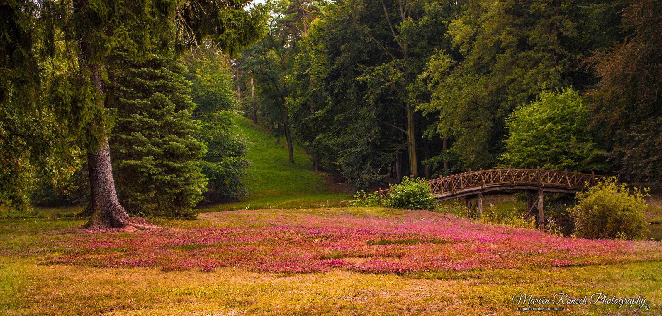 Ausschnitt im Cottbusser Park