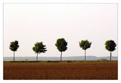 "Ausschnittsvergrößerung"