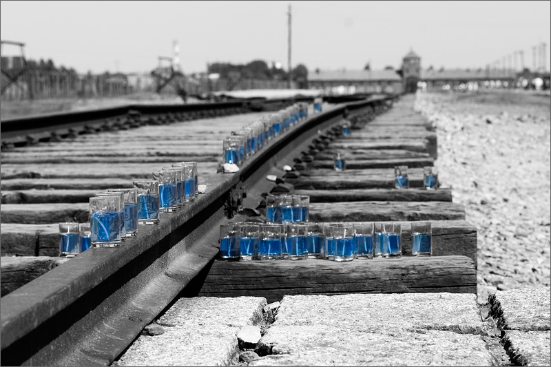 Ausschwitz-Birkenau