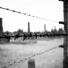 Ausschwitz Birkenau