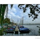 ~AUSSEN-ALSTER~