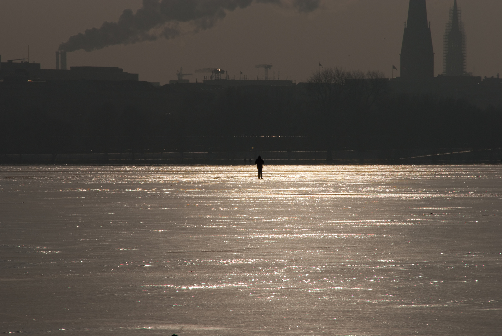 Außenalster 2010