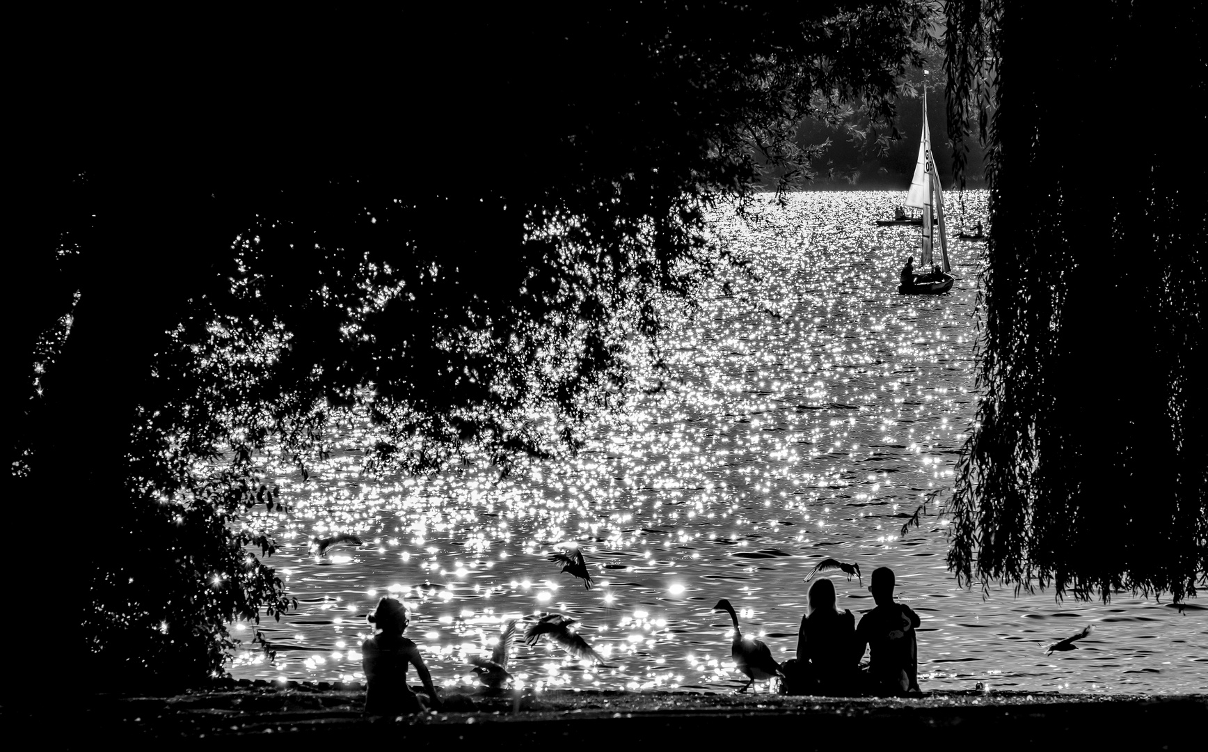 Aussenalster im Sommer