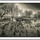 Außenalster in Hamburg 01.04.2016