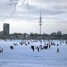 Aussenalster Januar 2010