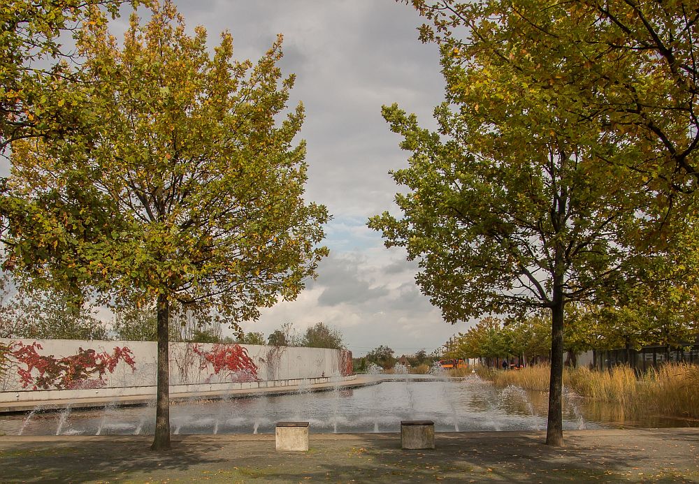 Aussenanlage eines Tierheimes in Berlin