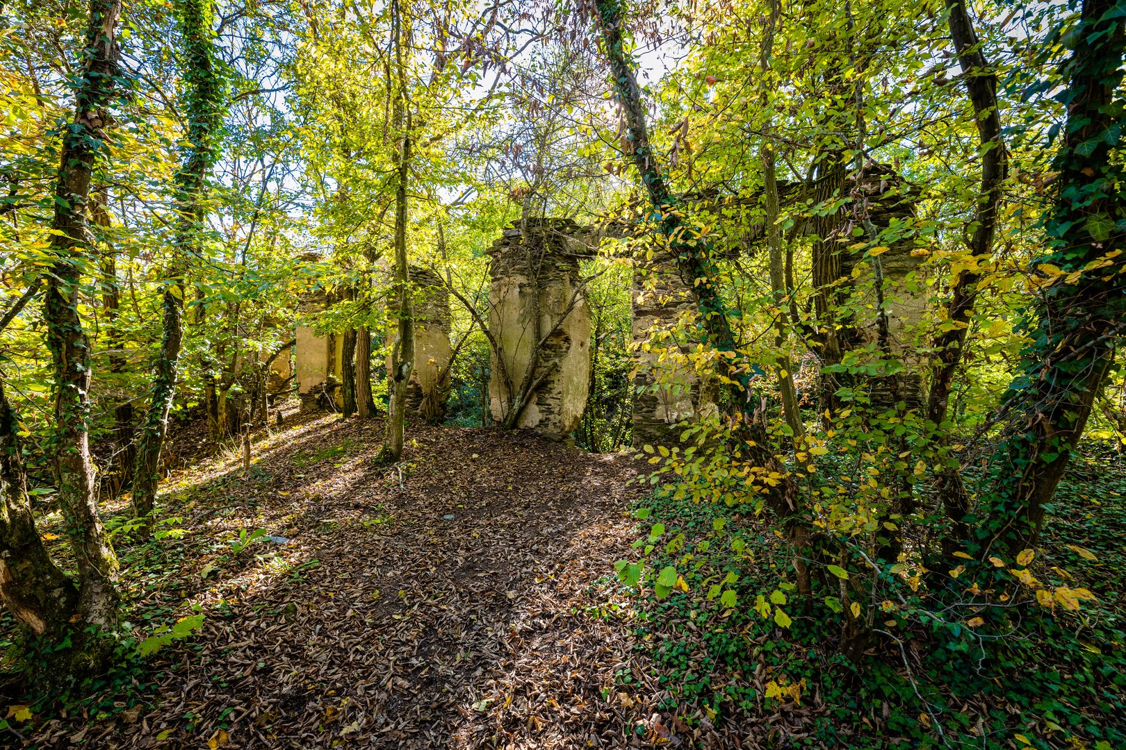 Außenmauer Burg Waldeck 24