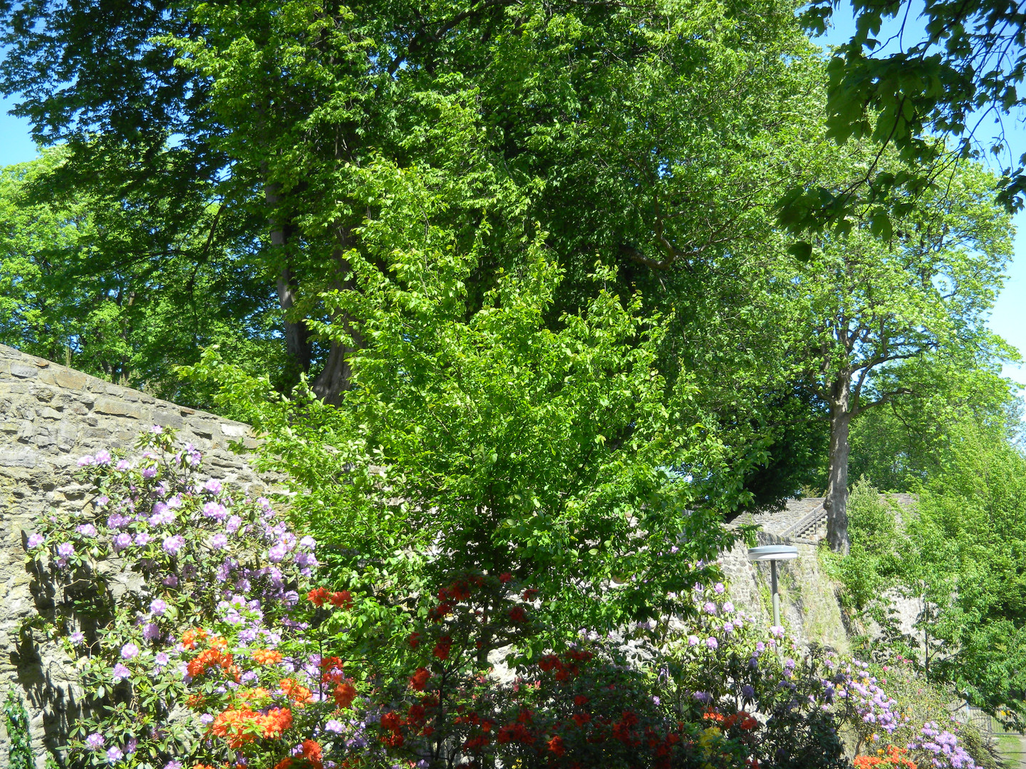 Außenmauer des Siegener Schlosses