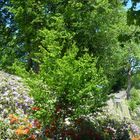 Außenmauer des Siegener Schlosses