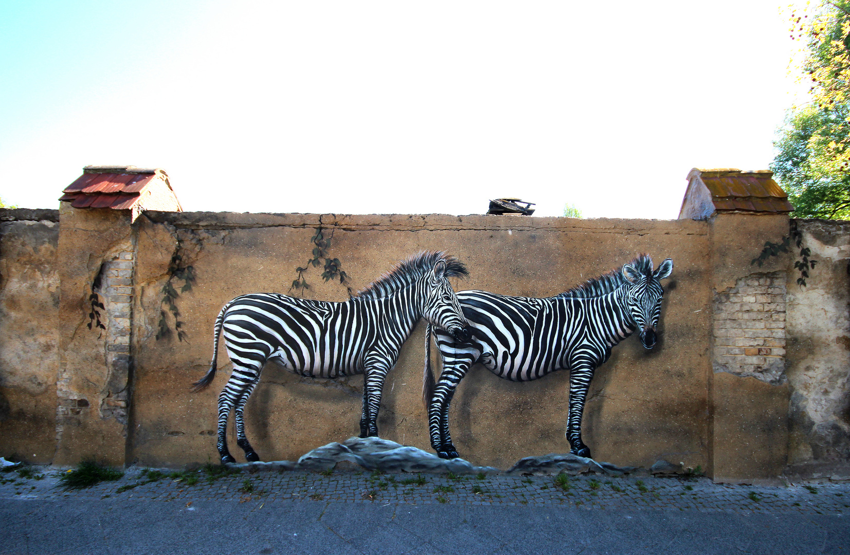 Aussenmauer Tierpark Berlin