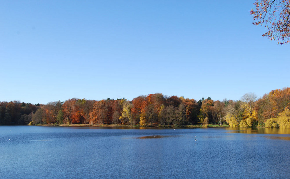 Außenmühlenteich Harburg Foto & Bild landschaft, bach, fluss & see