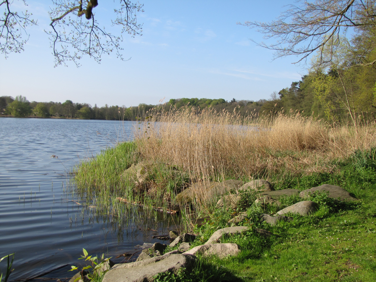 Außenmühlenteich Harburg