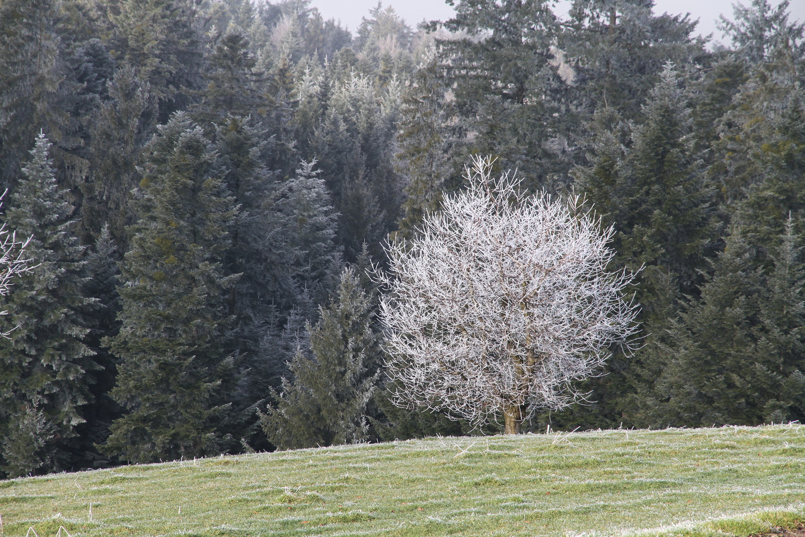 Aussenstehend