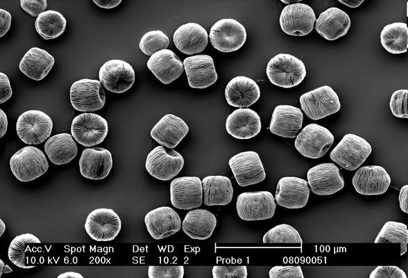 Außer Konkurrenz -)