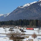 Außerfern-Güterzug bei Grainau