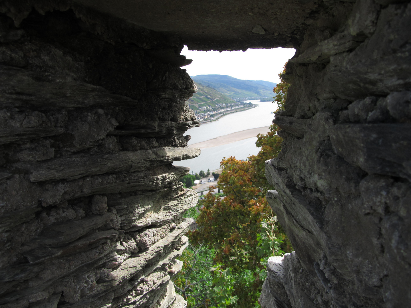 Außergewöhlicher Blick auf den Rhein