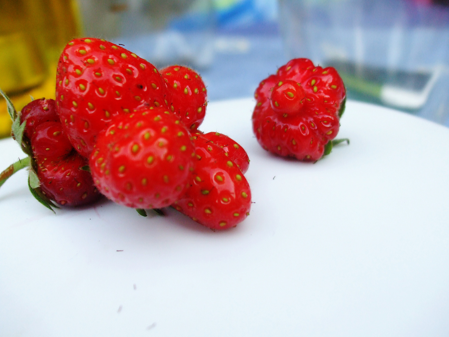 Außergewöhnlcher Erdbeeren - Treff