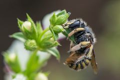 aussergewöhnliche Schlafposition