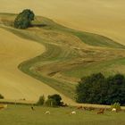 Außerirdische landen bevorzugt im Vorharz