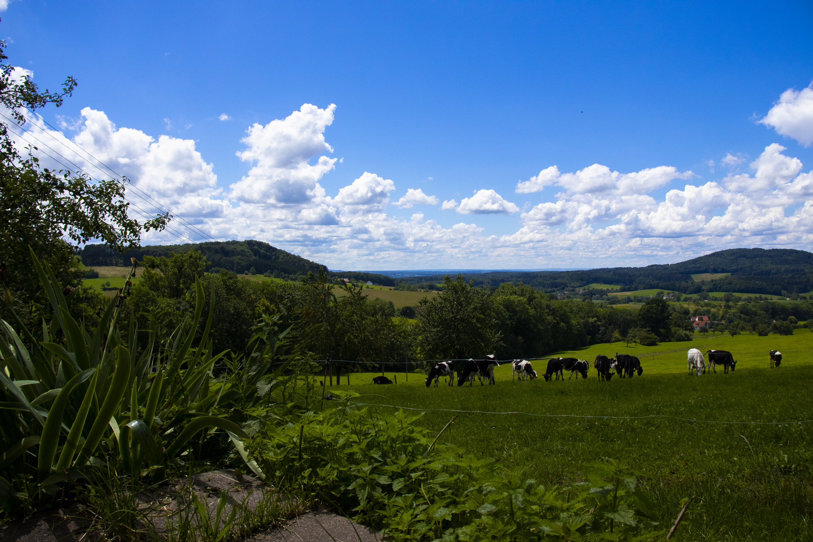 Aussicht