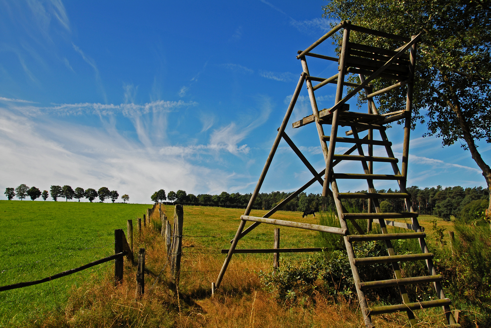 Aussicht