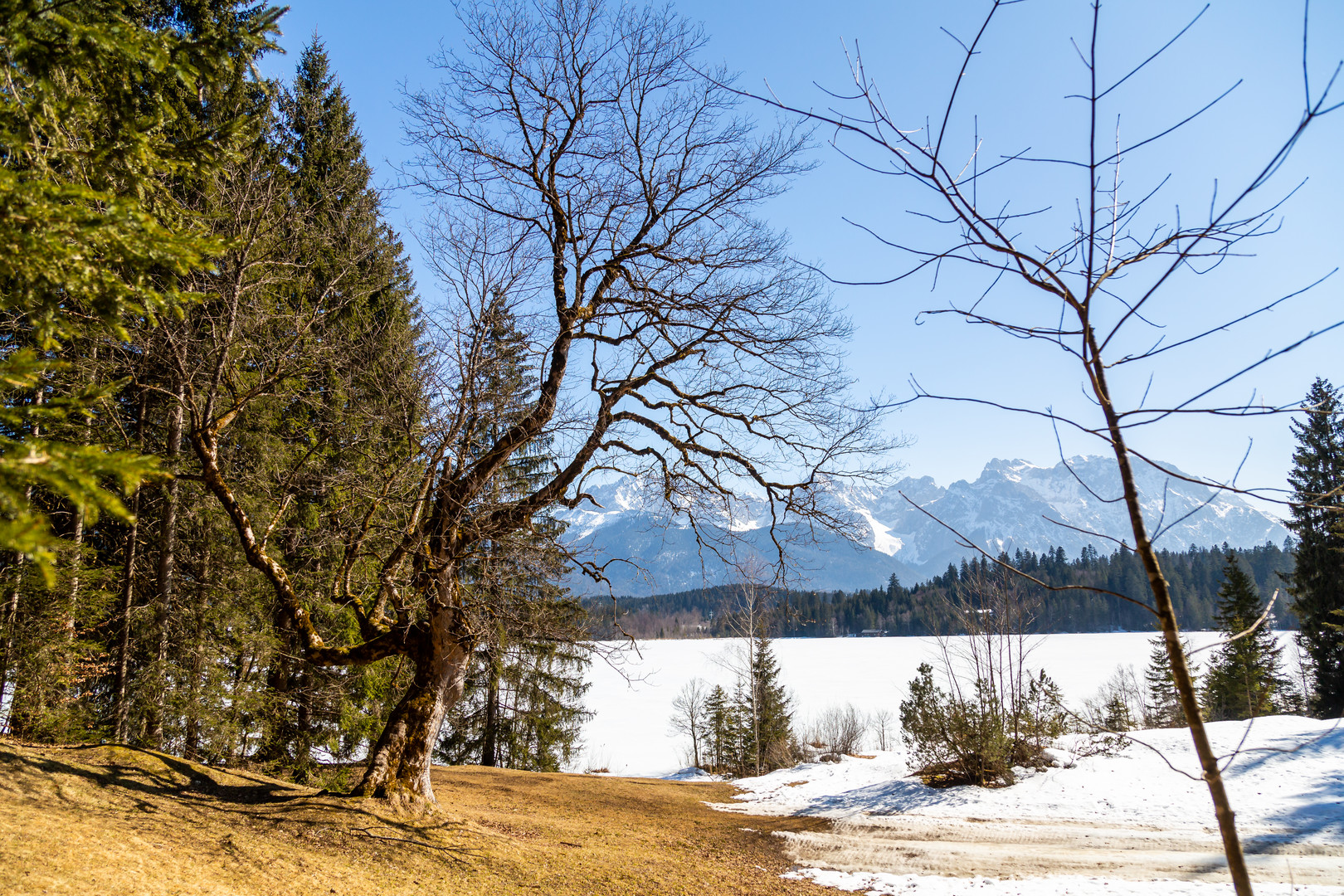 Aussicht am Barmsee