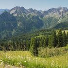 Aussicht am Fellhorn