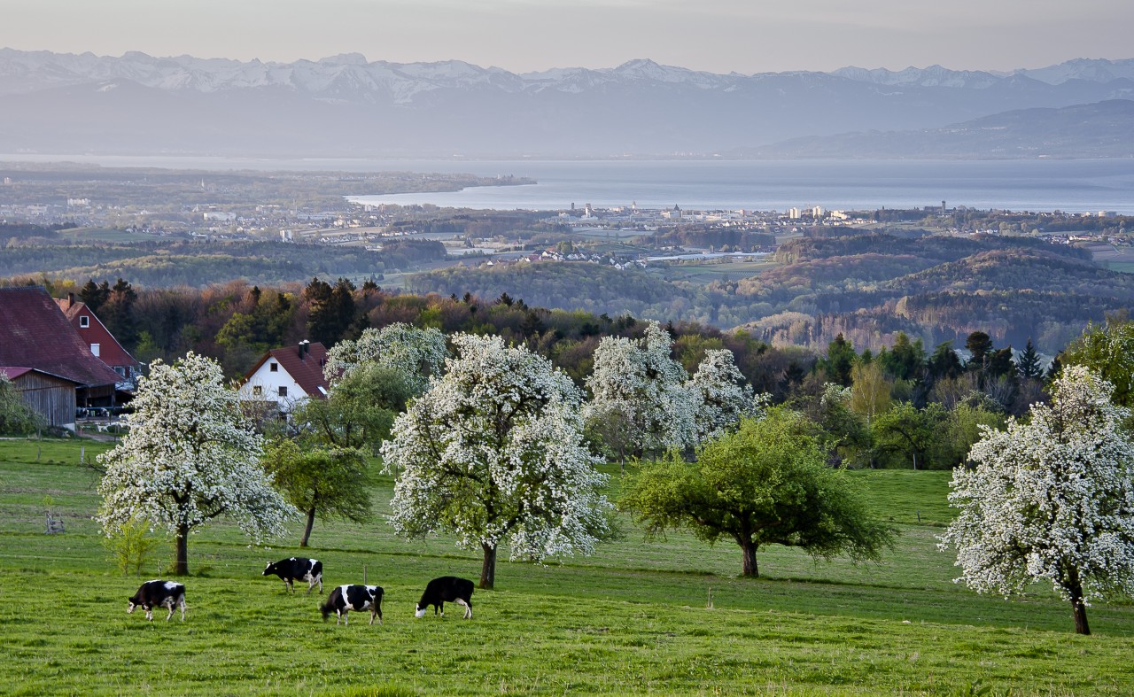 Aussicht am Gehrenberg...