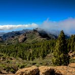 Aussicht am Roque Nublo