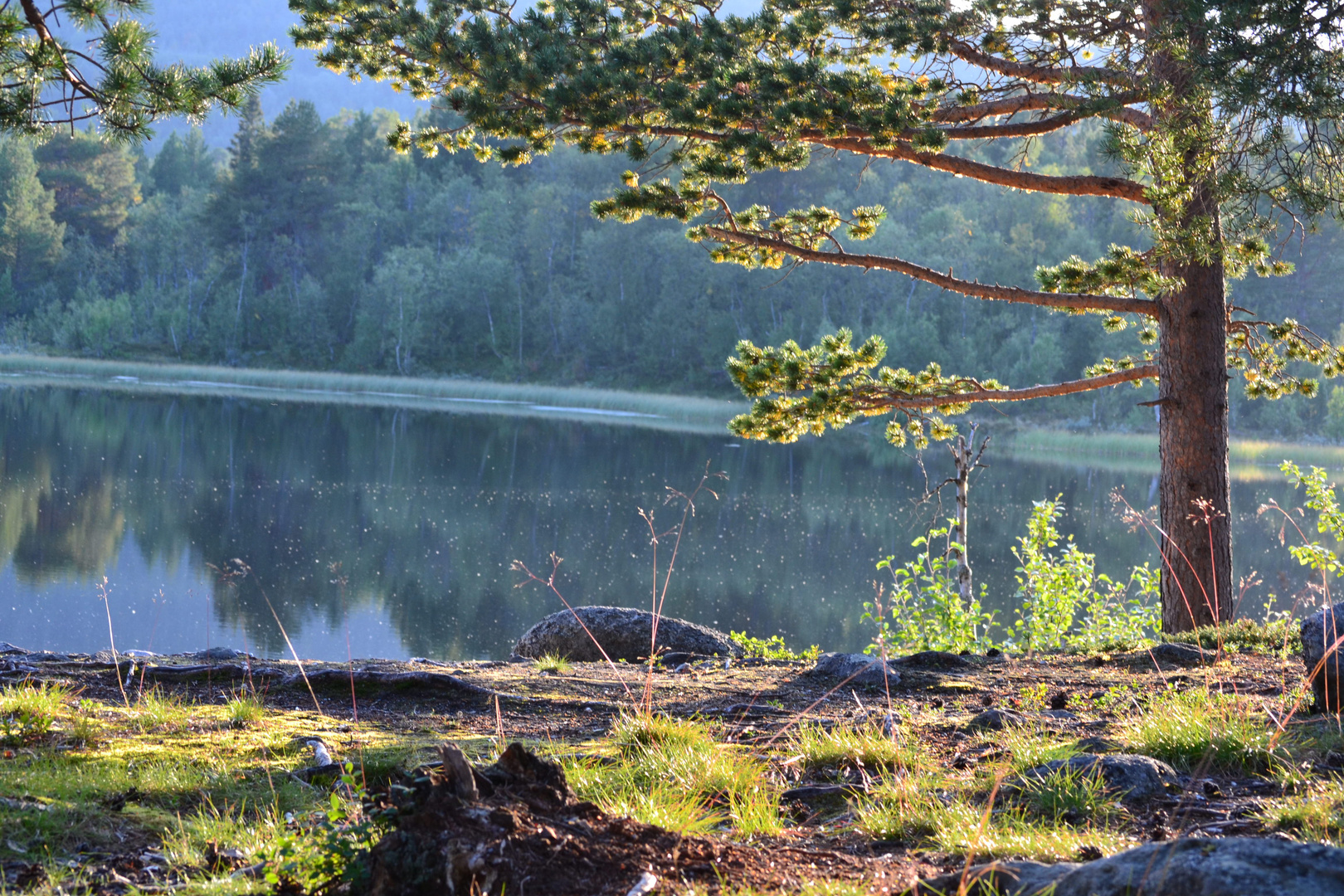 Aussicht am See