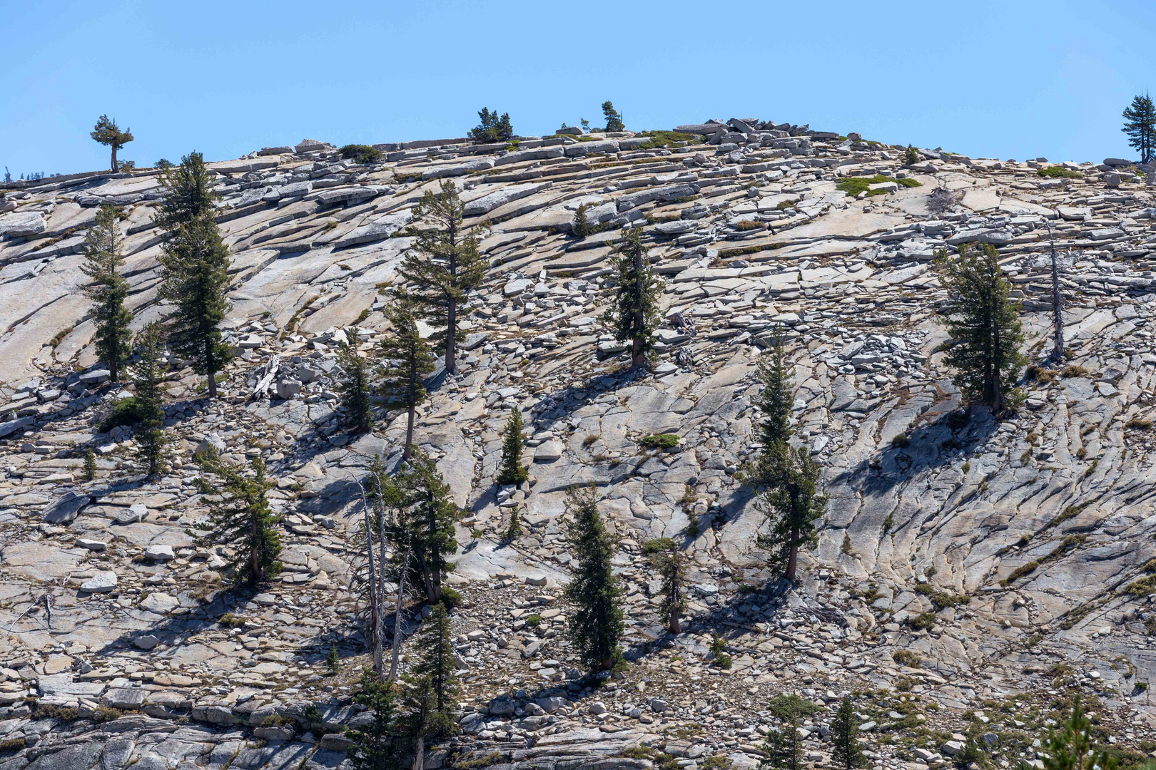 Aussicht am Tioga Pass